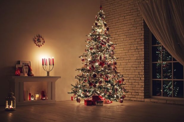 Origem da árvore de Natal, você sabe como tudo começou? Veja as curiosidades sobre essa tradição