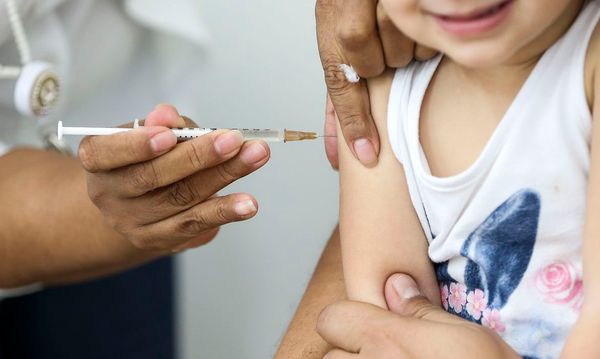 Covid-19: Santa Catarina começa a distribuir vacinas pediátricas