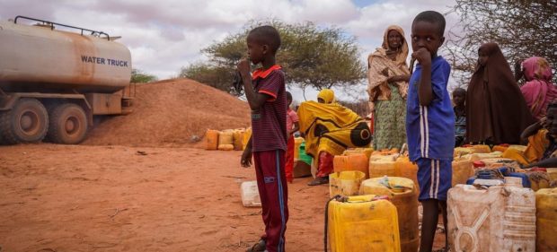 Sudeste africano: 13 milhões de pessoas passam fome por causa da seca