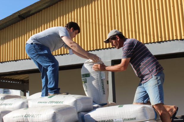Programa de distribuição de sementes beneficia agricultores em Criciúma