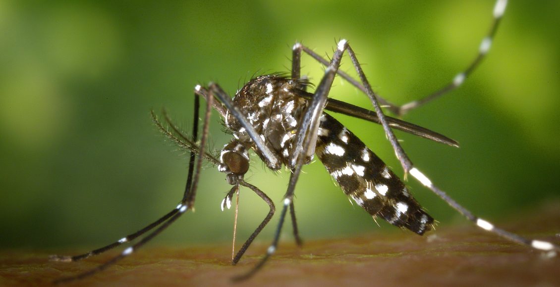 Quais os remédios contraindicados em caso de Dengue?