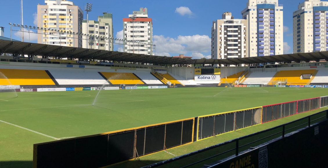 Jogo do Tigre' pode ser regularizado no Brasil?