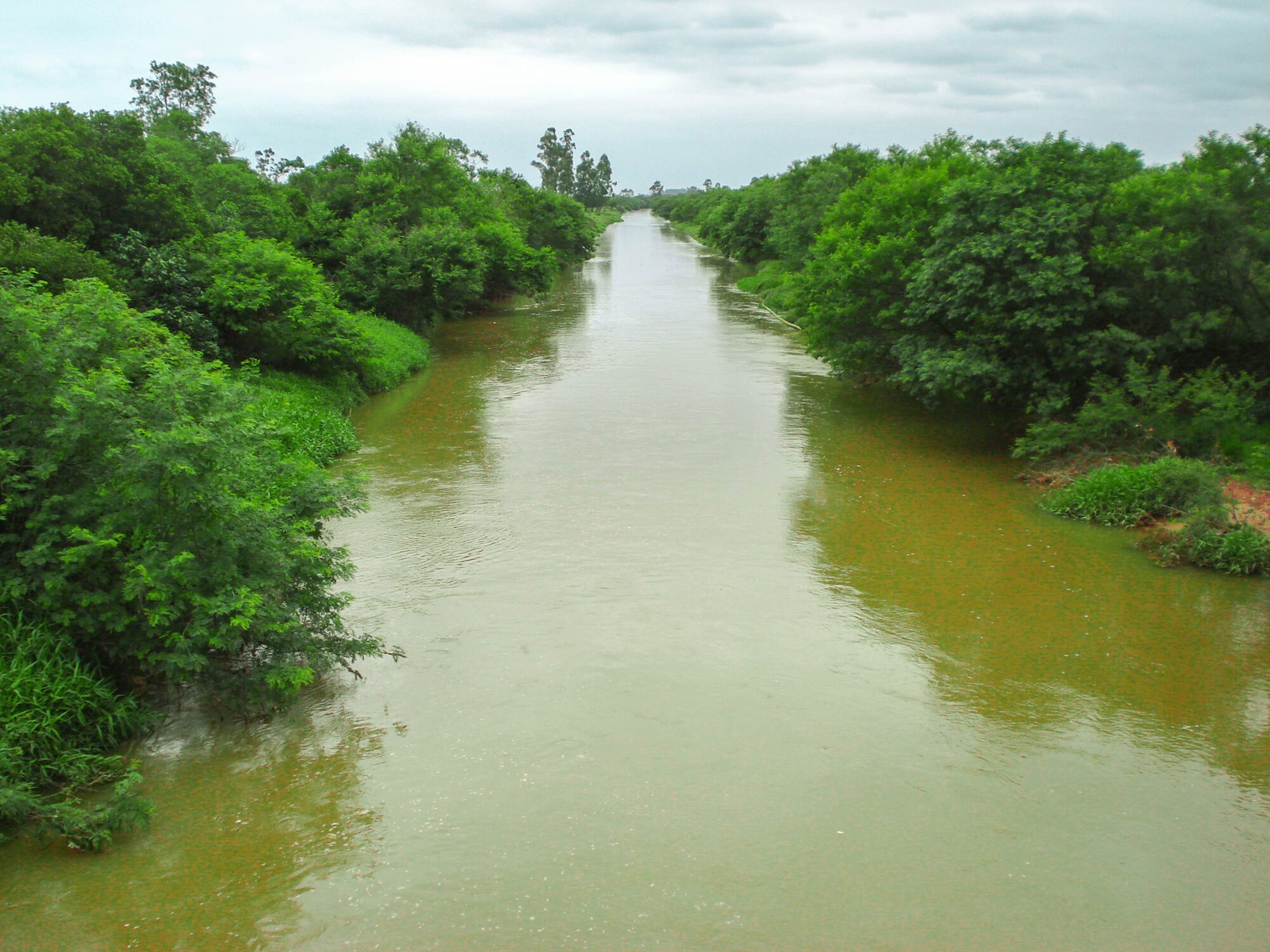 Em prol da preservação das águas, Comitê do Rio Urussanga clama por maior mobilização