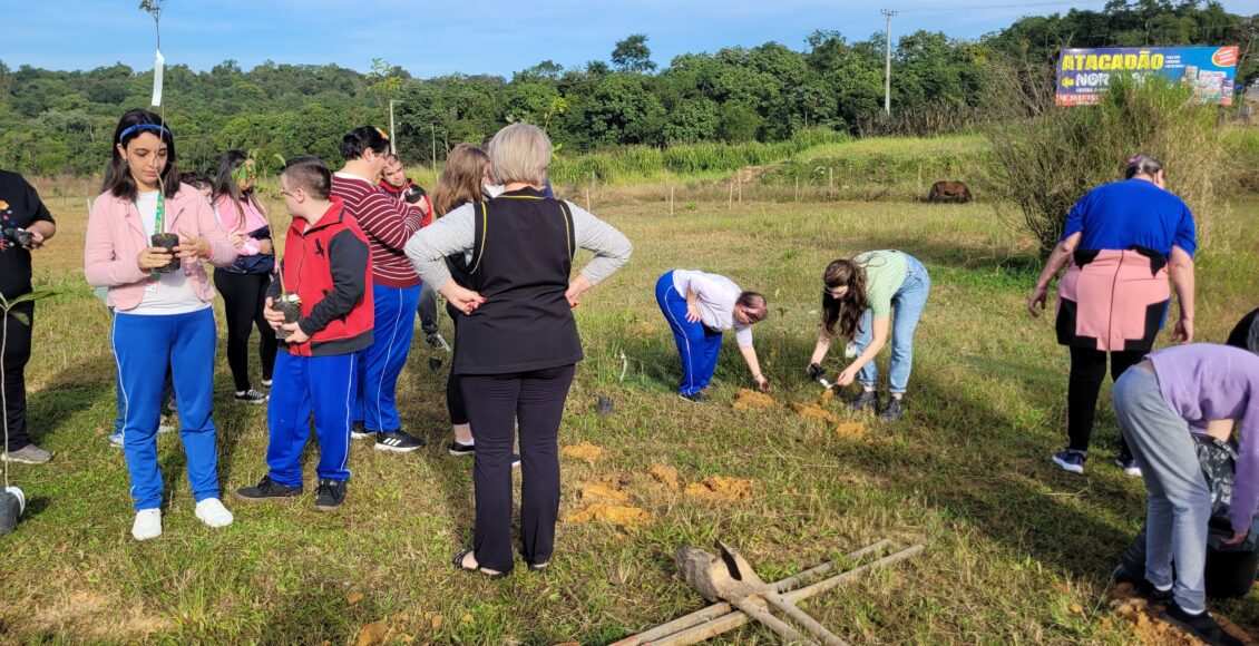 APAE – DMA – Plantio de Árvores – Por Ana Paula Nesi (6)