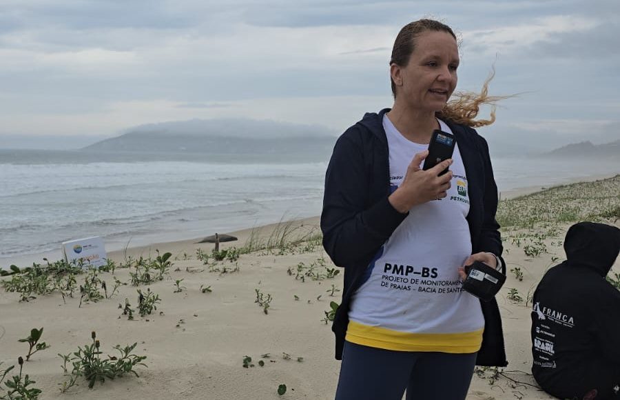 Elefante marinho dá a luz em praia de Garopaba, fato inédito no Brasil (1)